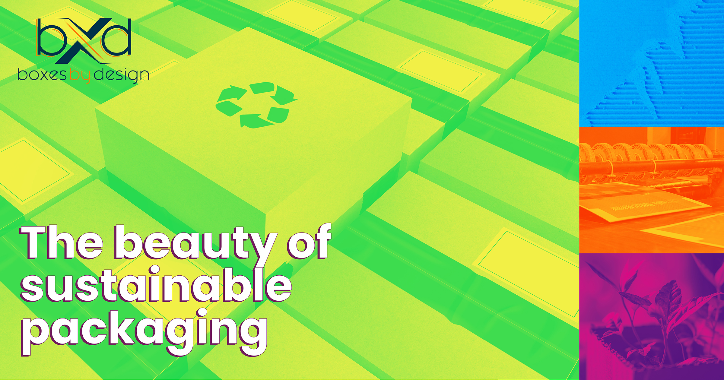 Eco-friendly, Sustainable Packaging – Boxes by Design